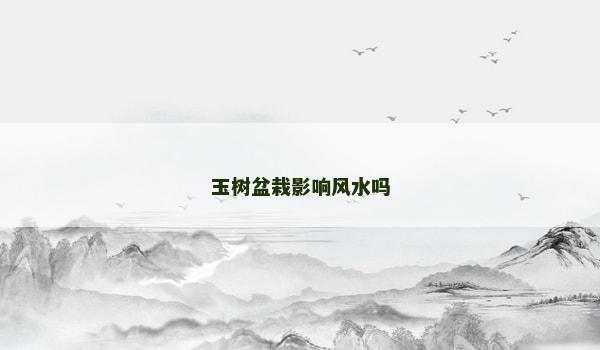 玉树盆栽影响风水吗