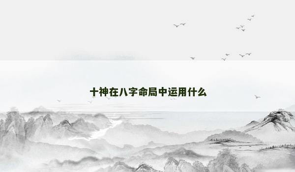 十神在八字命局中运用什么