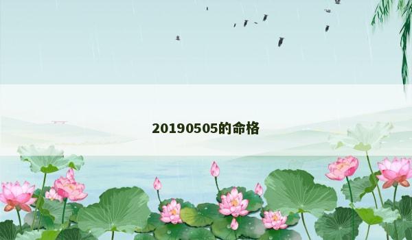 20190505的命格