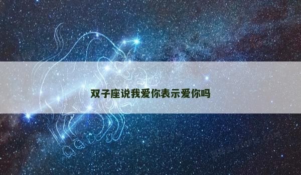 双子座说我爱你表示爱你吗