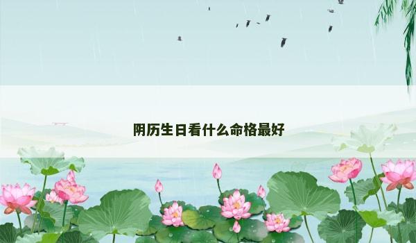 阴历生日看什么命格最好