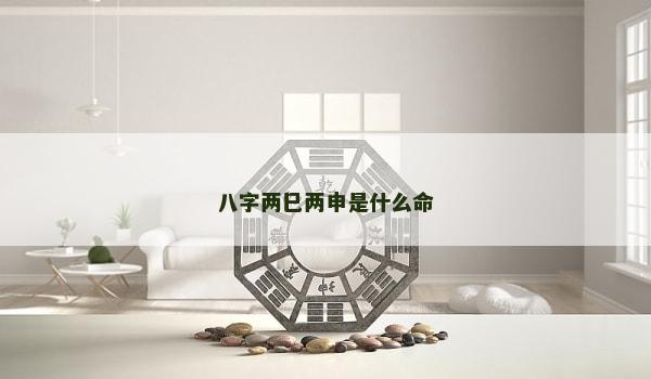 八字两巳两申是什么命