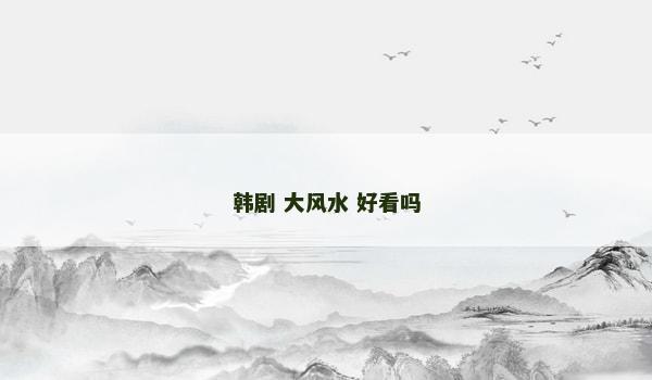 韩剧 大风水 好看吗