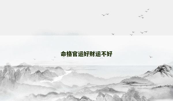 命格官运好财运不好