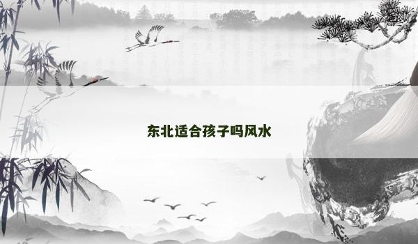 东北适合孩子吗风水