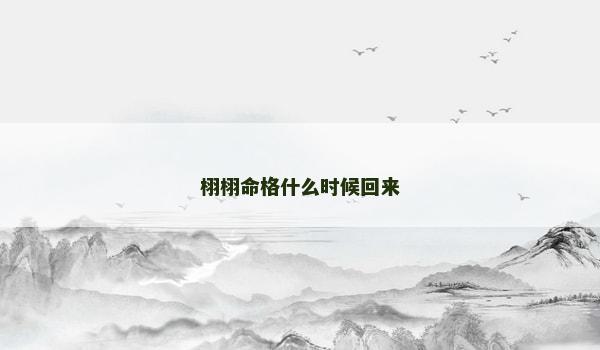 栩栩命格什么时候回来