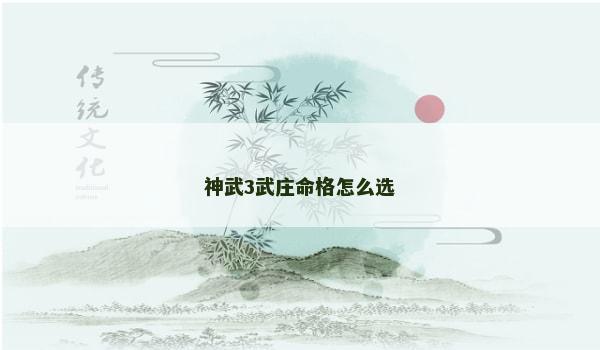 神武3武庄命格怎么选