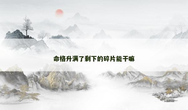 命格升满了剩下的碎片能干嘛