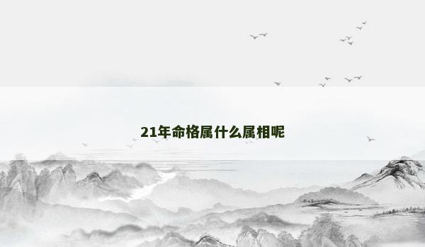 21年命格属什么属相呢