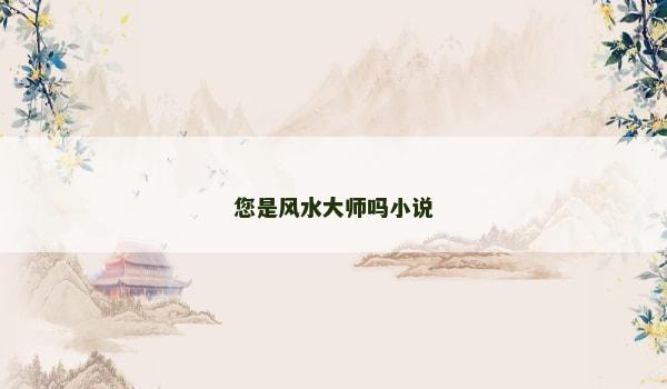 您是风水大师吗小说