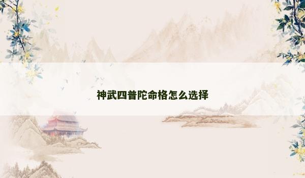 神武四普陀命格怎么选择