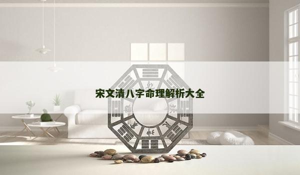 宋文清八字命理解析大全