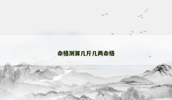 命格测算几斤几两命格