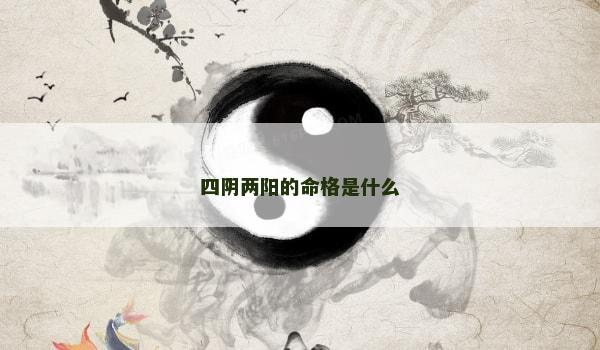 四阴两阳的命格是什么