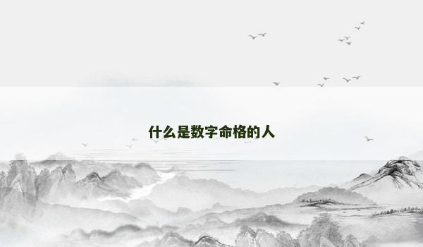 什么是数字命格的人