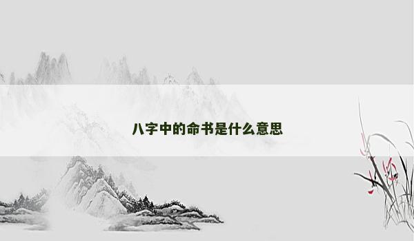 八字中的命书是什么意思