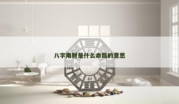 八字用财是什么命局的意思