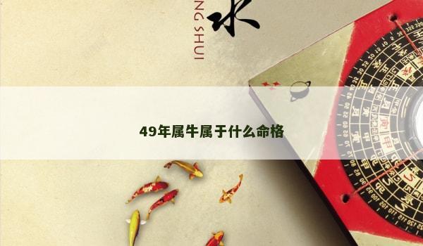 49年属牛属于什么命格