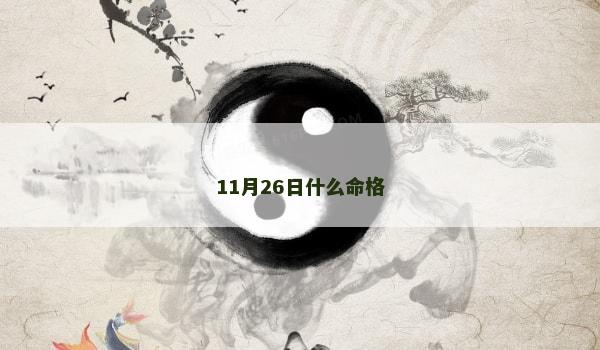 11月26日什么命格