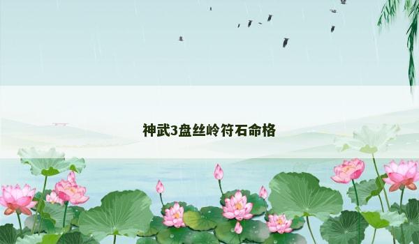 神武3盘丝岭符石命格