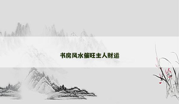 书房风水催旺主人财运