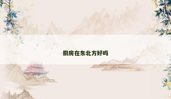 厨房在东北方好吗