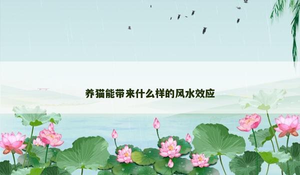 养猫能带来什么样的风水效应