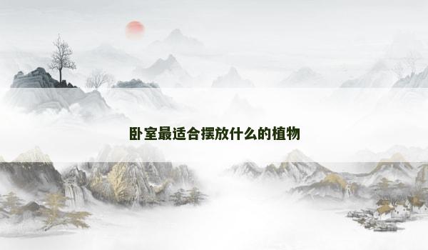 卧室最适合摆放什么的植物