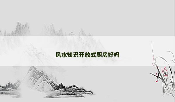 风水知识开放式厨房好吗