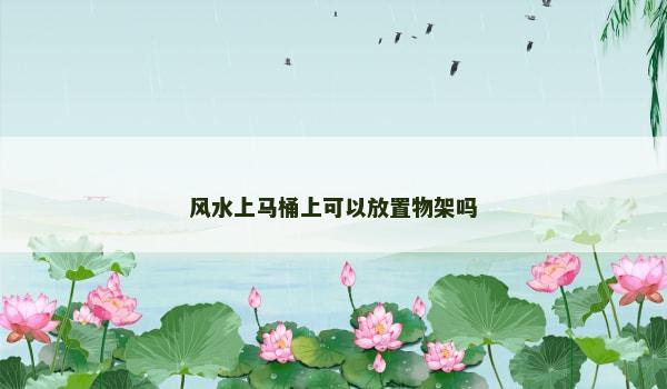 风水上马桶上可以放置物架吗