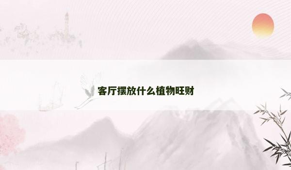 客厅摆放什么植物旺财