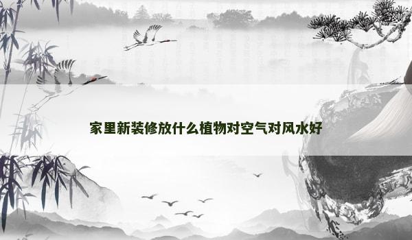 家里新装修放什么植物对空气对风水好