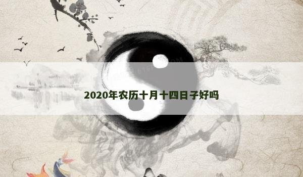 2020年农历十月十四日子好吗