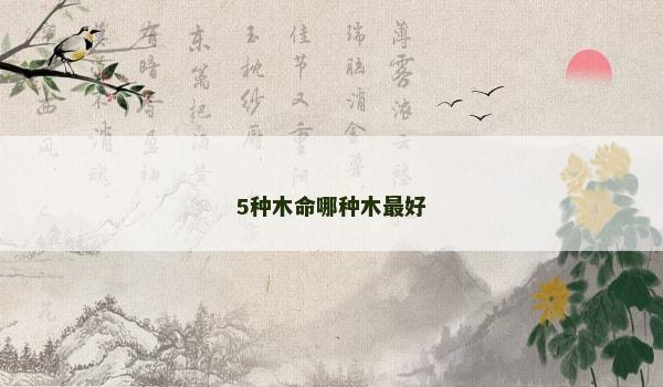 5种木命哪种木最好