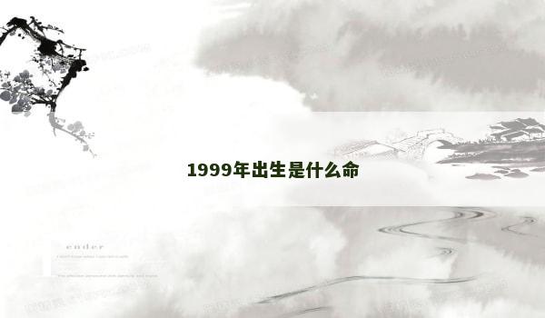 1999年出生是什么命