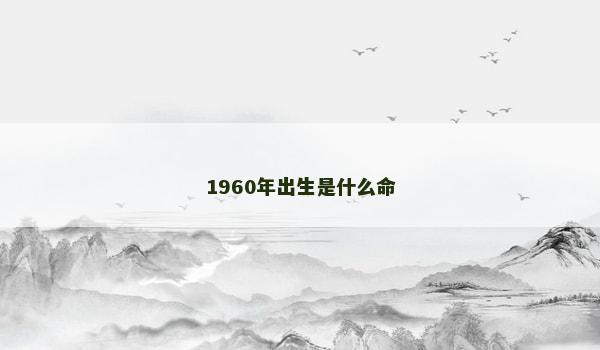 1960年出生是什么命