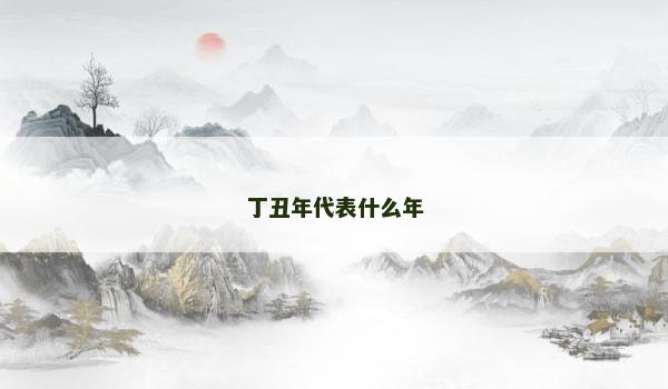 丁丑年代表什么年