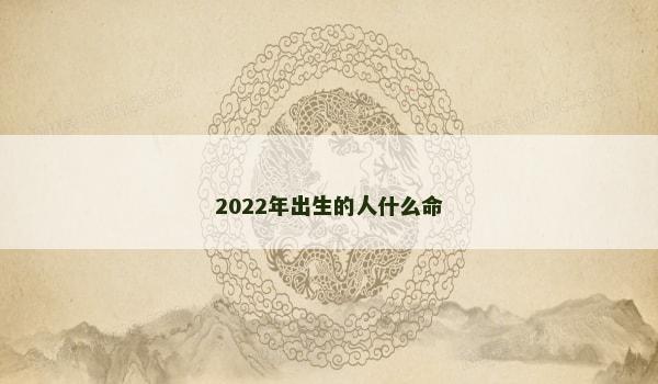 2022年出生的人什么命