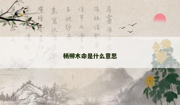 杨柳木命是什么意思