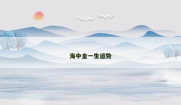 海中金一生运势