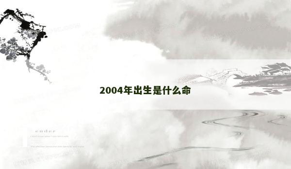 2004年出生是什么命