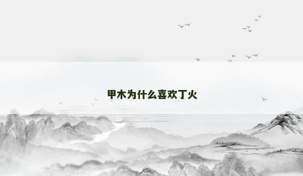 甲木为什么喜欢丁火